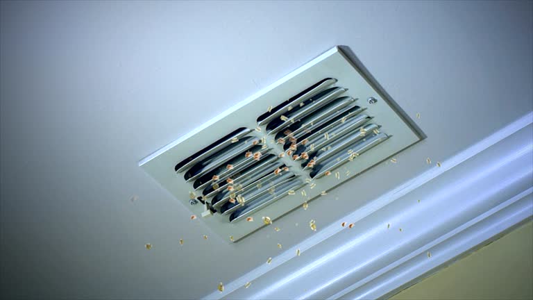 Best Commercial Air Duct Cleaning  in Dumas, AR