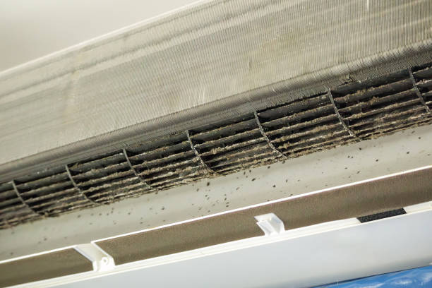 Best HVAC Air Duct Cleaning  in Dumas, AR